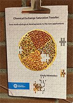 ISBN: 9789039366998 - Title: Chemical exchange saturation transfer: from methodological developments to the new applications